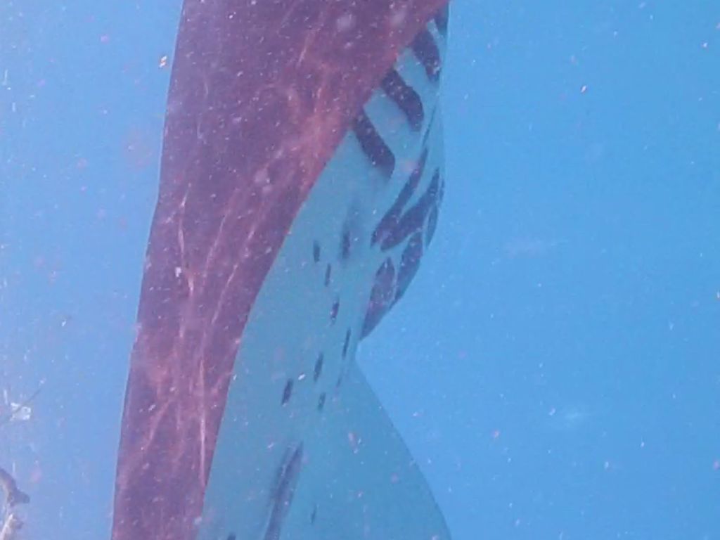 73a09a0a-bdc8-40c1-85fd-c43ce5bc2f49