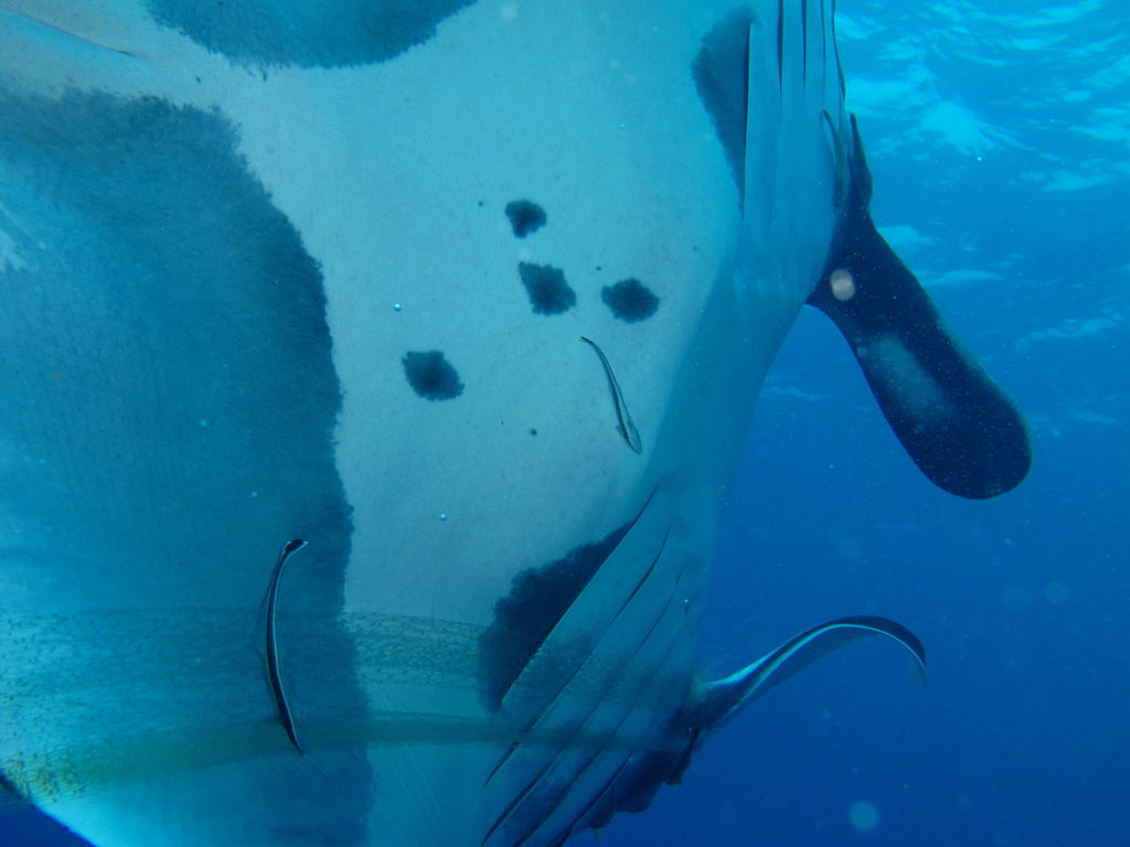 3ad6104f-8f8b-4447-a6cb-ee954c0f75b5