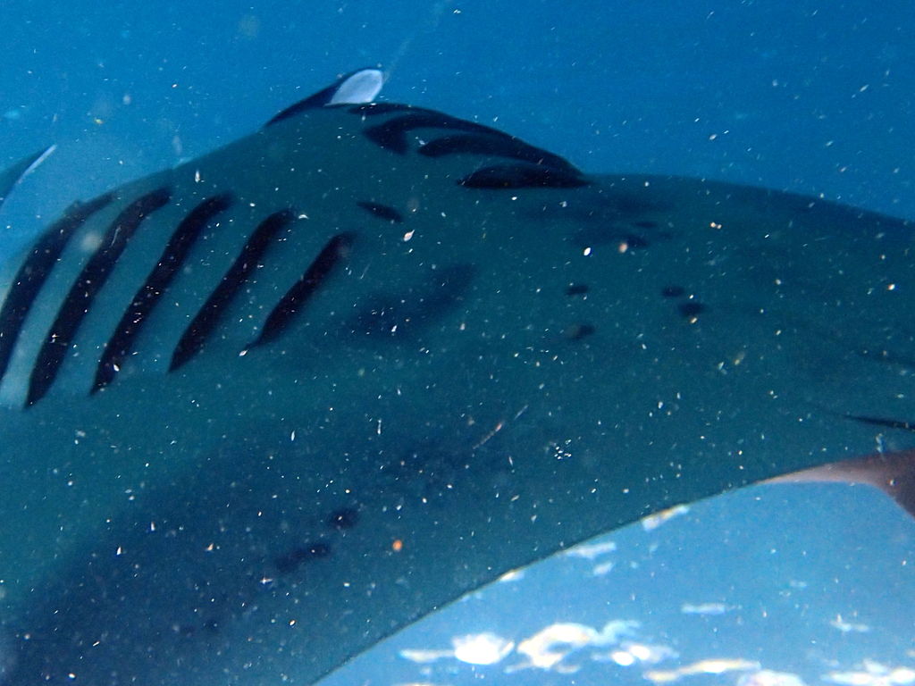 7cf10f00-4122-45b4-a1ec-7cdd108a971e