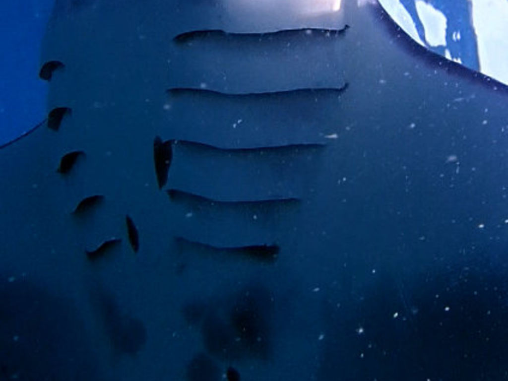 7cf10f00-4122-45b4-a1ec-7cdd108a971e