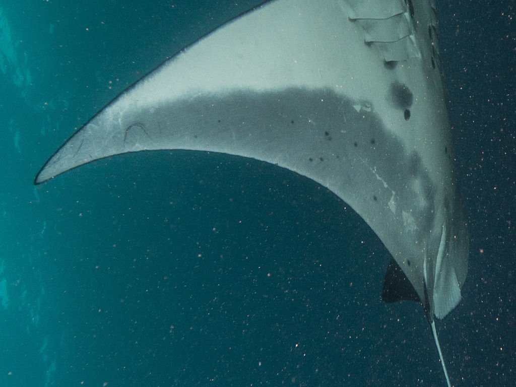 003b54ef-e7e9-4955-a666-e8eab0361416