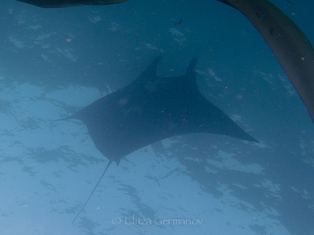 0cfeaab5-87a8-4e38-9e43-63f3a74c6037