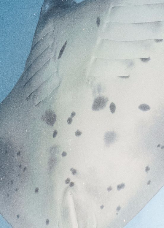 febe3c27-bc5b-430f-8e0b-c297f30b22a9