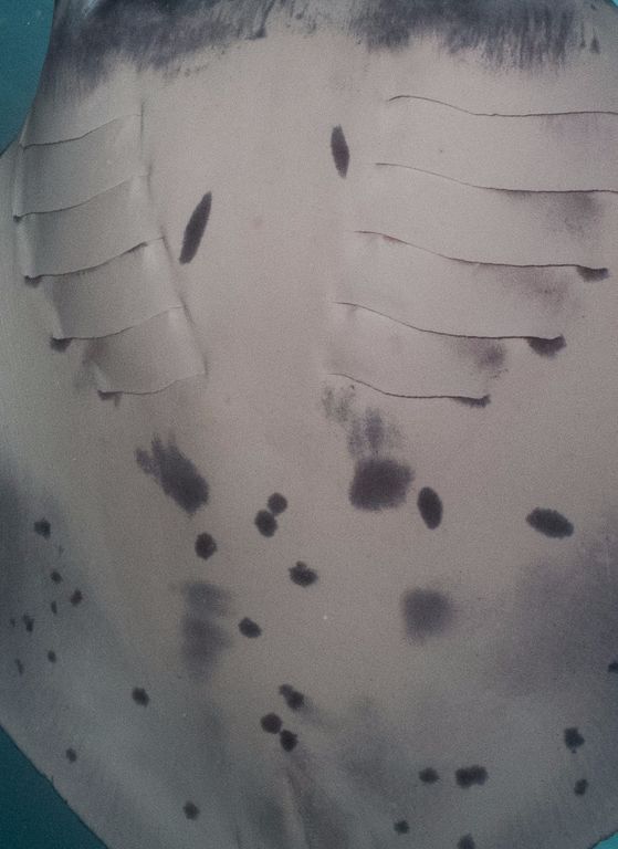 febe3c27-bc5b-430f-8e0b-c297f30b22a9