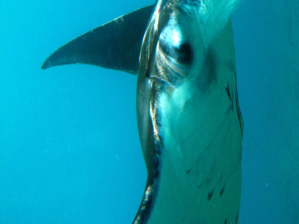 e498ba88-c645-43e6-84d3-5b3747a49c1b