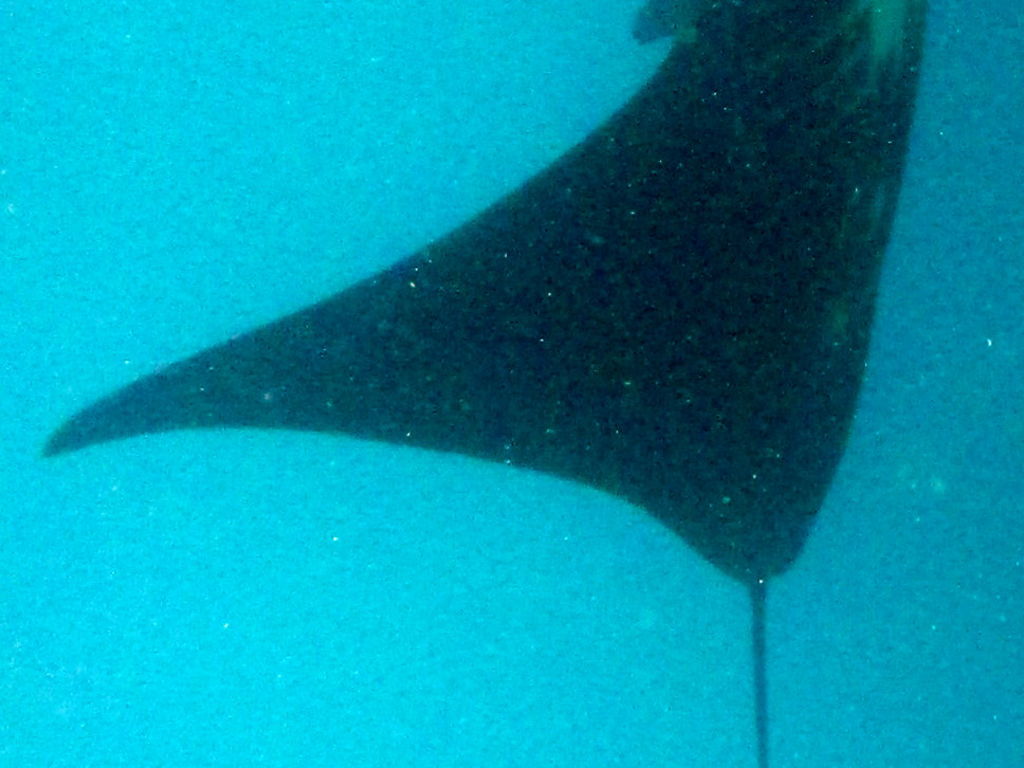 d76b7a87-038f-48d6-8388-c8d75366ea78