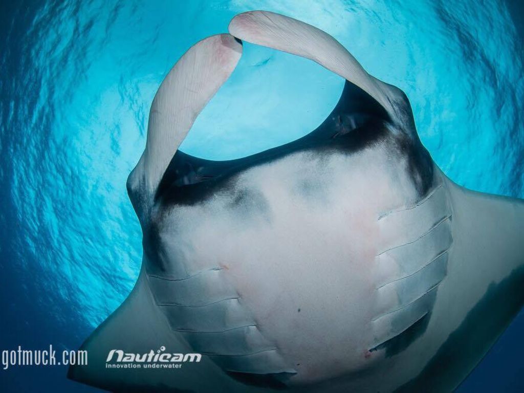 87f45858-f9a3-429b-be08-1931cc1c9e8f