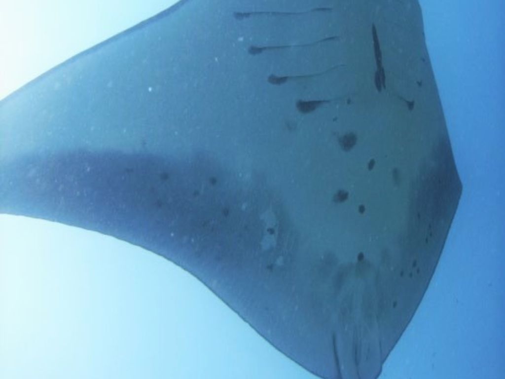 d3c2519e-eeb2-4bfe-a870-32860bc07f5f