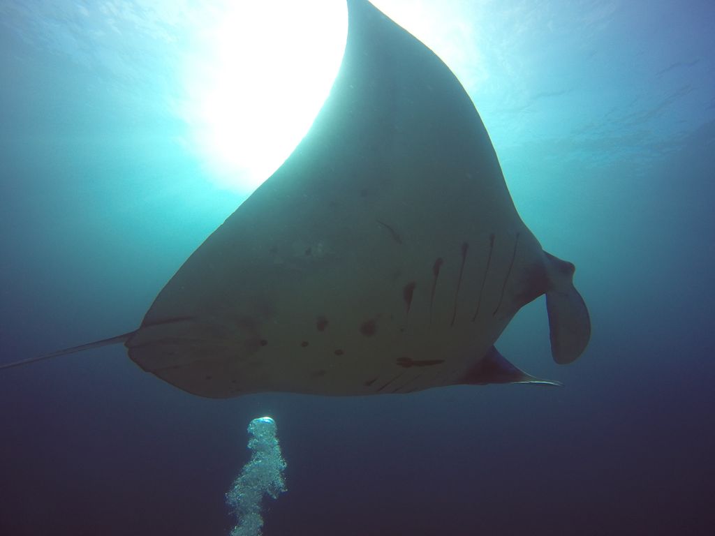 d3c2519e-eeb2-4bfe-a870-32860bc07f5f