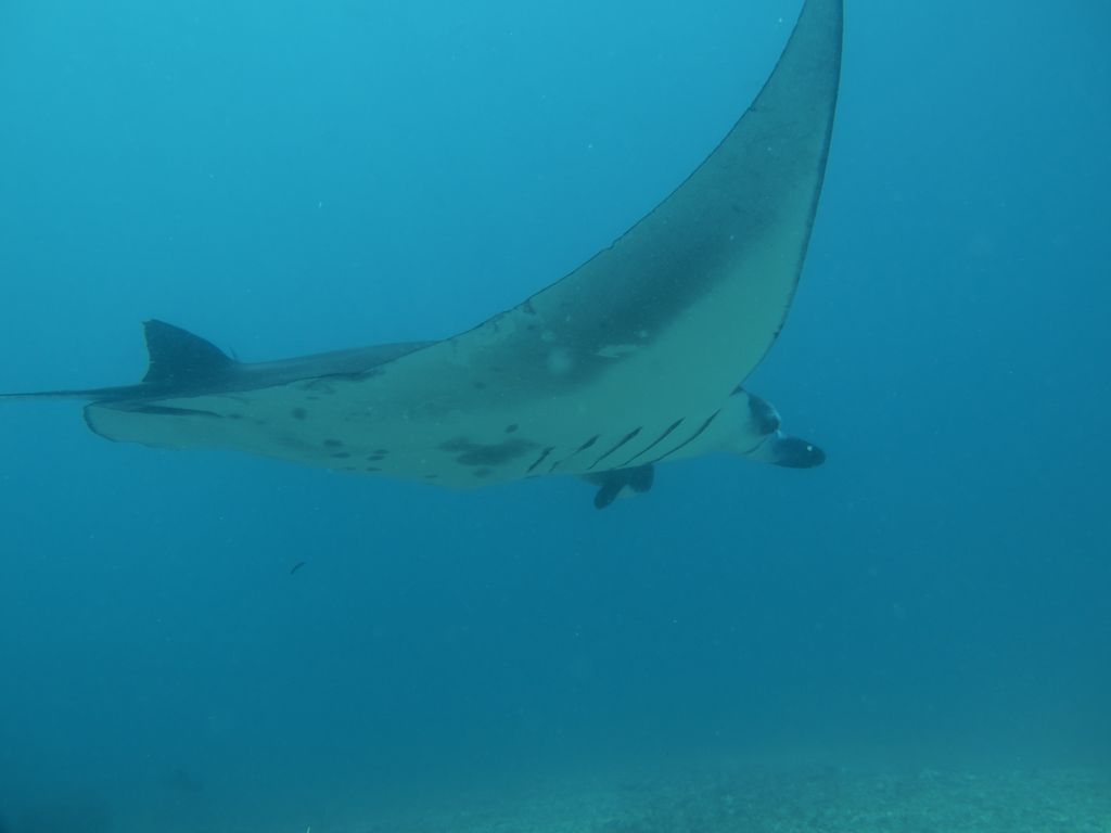 b1ea8aa9-47d9-4072-b08e-5dea007f4c82