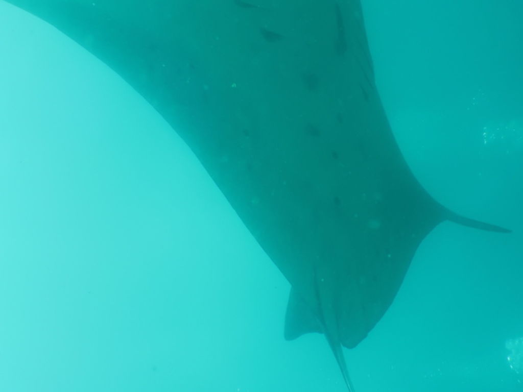 d3c2519e-eeb2-4bfe-a870-32860bc07f5f