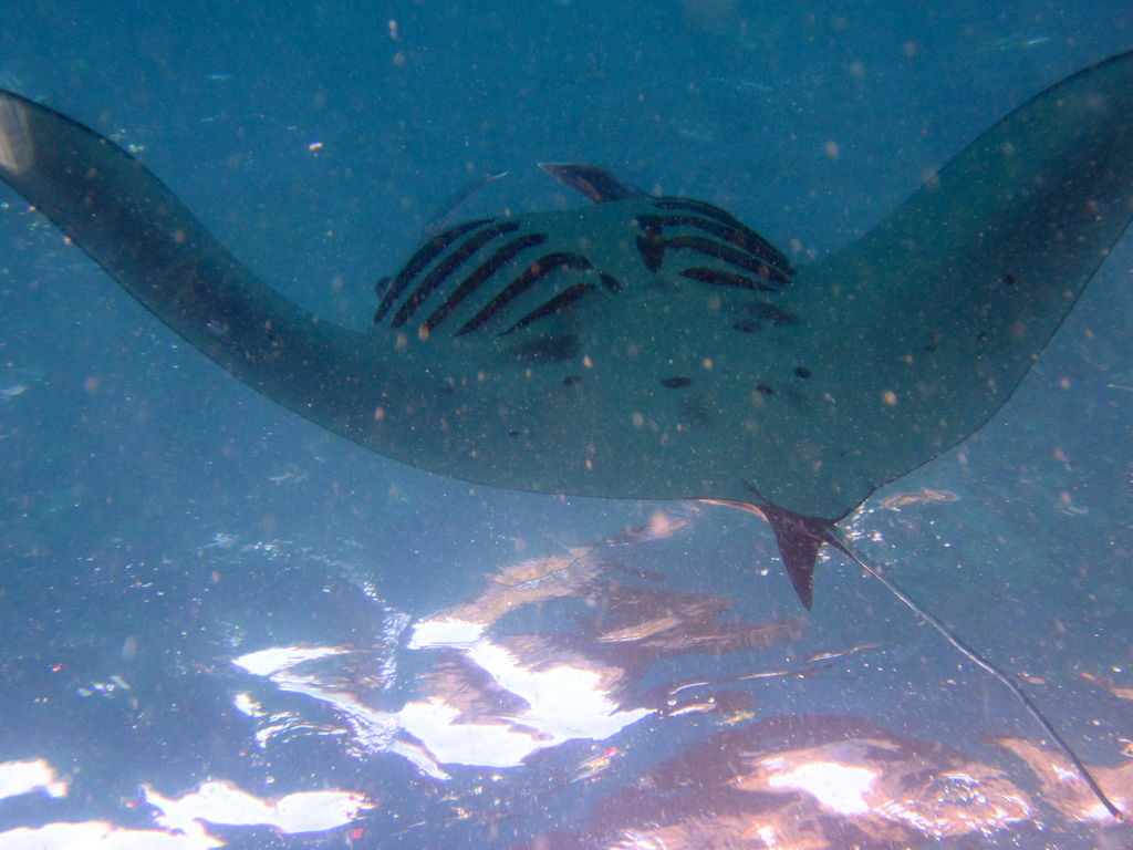 915e89f7-09eb-4ed4-9e15-2a590bc57bbe