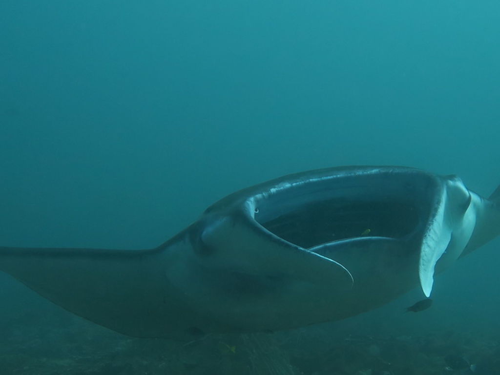 19370f99-a441-4b1a-9c62-bf9aad16977b