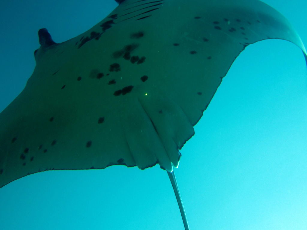 bb3e6b40-4656-4742-9eeb-8e12f379f6f2