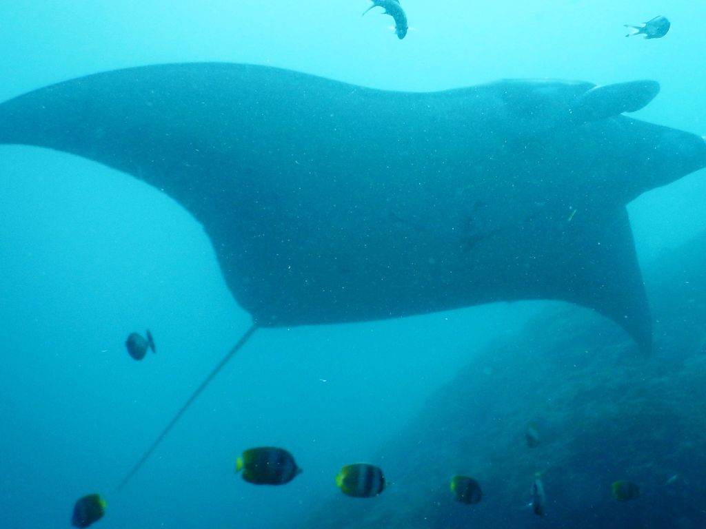 7434e197-bc1b-4f4f-81f5-7c2594032a8e