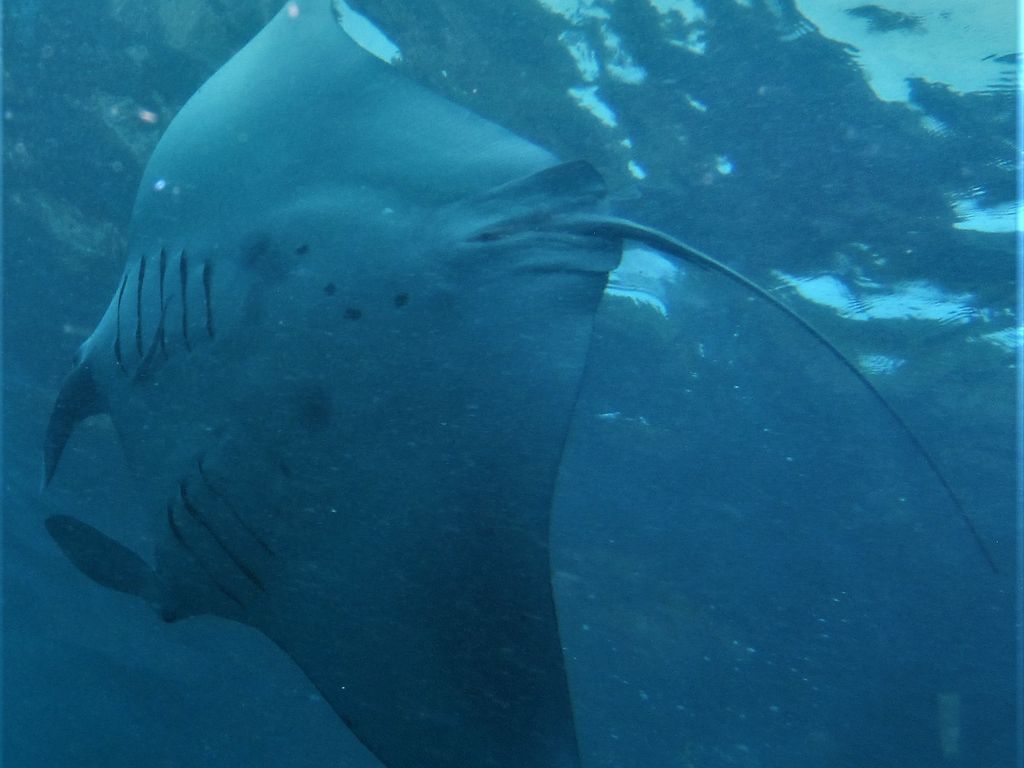 63409d76-e904-4234-ba61-9ad1d27cf053