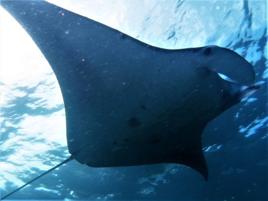 63409d76-e904-4234-ba61-9ad1d27cf053