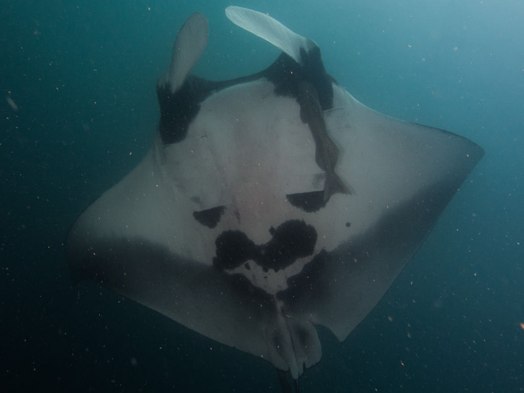 6b30fcee-fa4e-48c4-9510-508e6e59cf2f