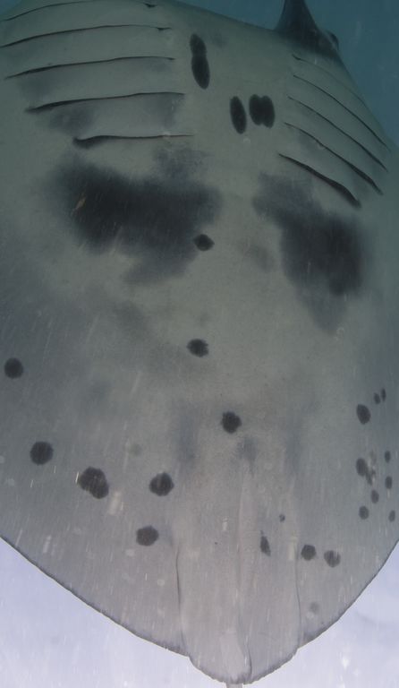 ffafd9c6-aeca-4c64-b453-2a5fa747fb62