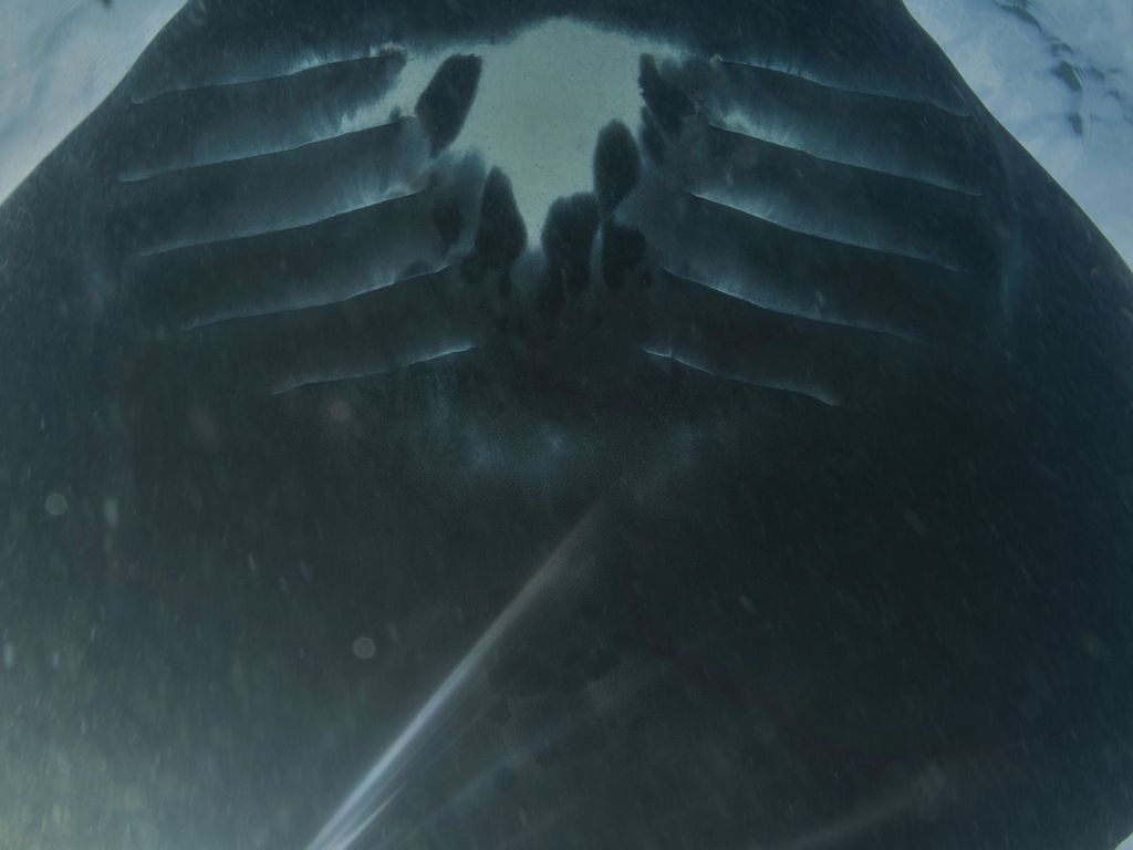 da6092d6-4d9e-4e24-843e-be12788f43c4