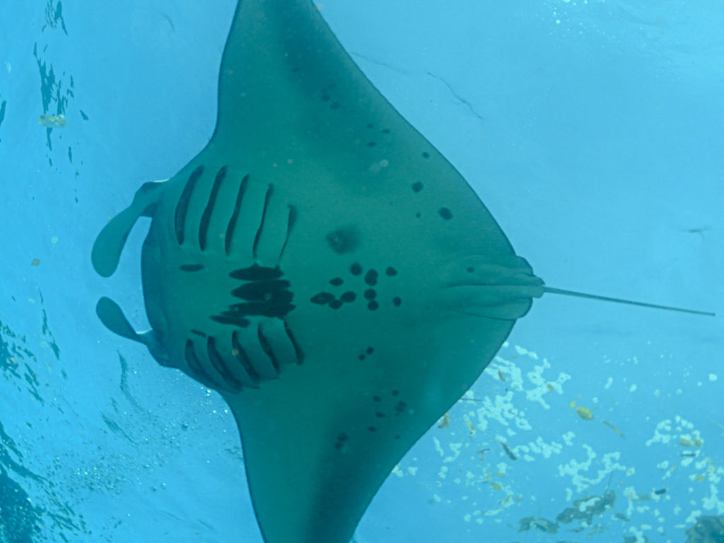 91ab5e97-1989-40b4-8457-81c3f3e50132