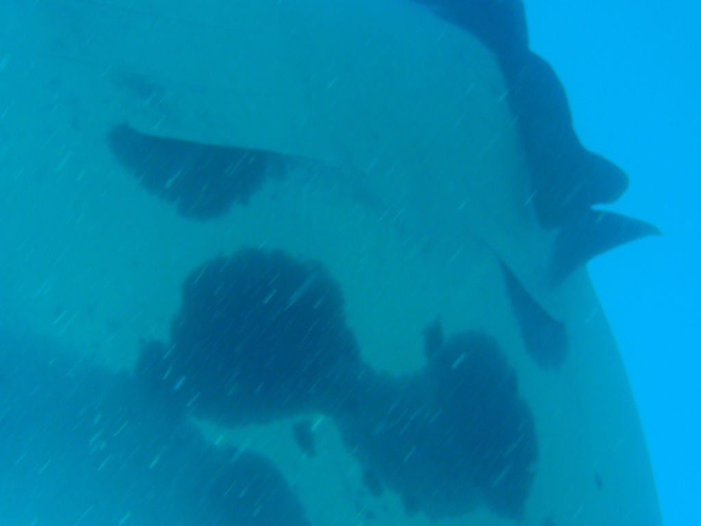 6b30fcee-fa4e-48c4-9510-508e6e59cf2f