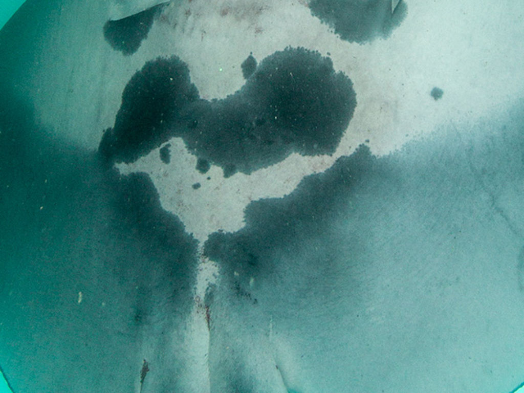 6b30fcee-fa4e-48c4-9510-508e6e59cf2f