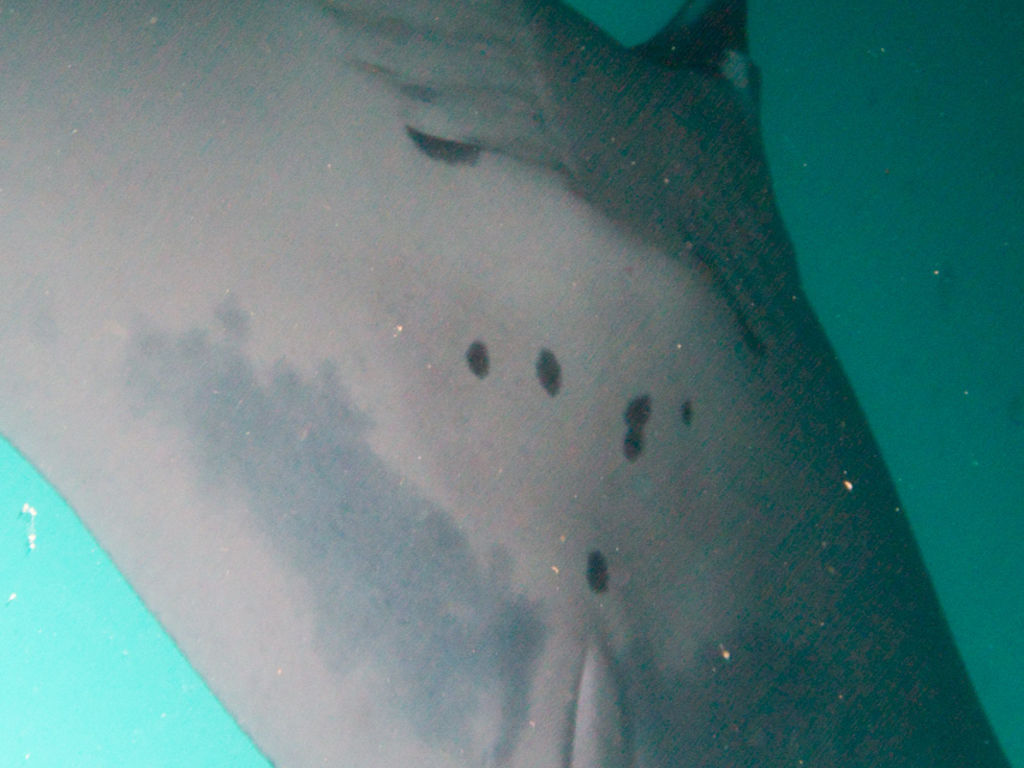 000a2d5b-dd3b-4c76-b504-efcc4b9e6ced