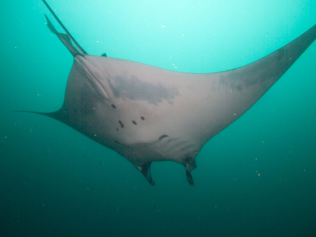 000a2d5b-dd3b-4c76-b504-efcc4b9e6ced