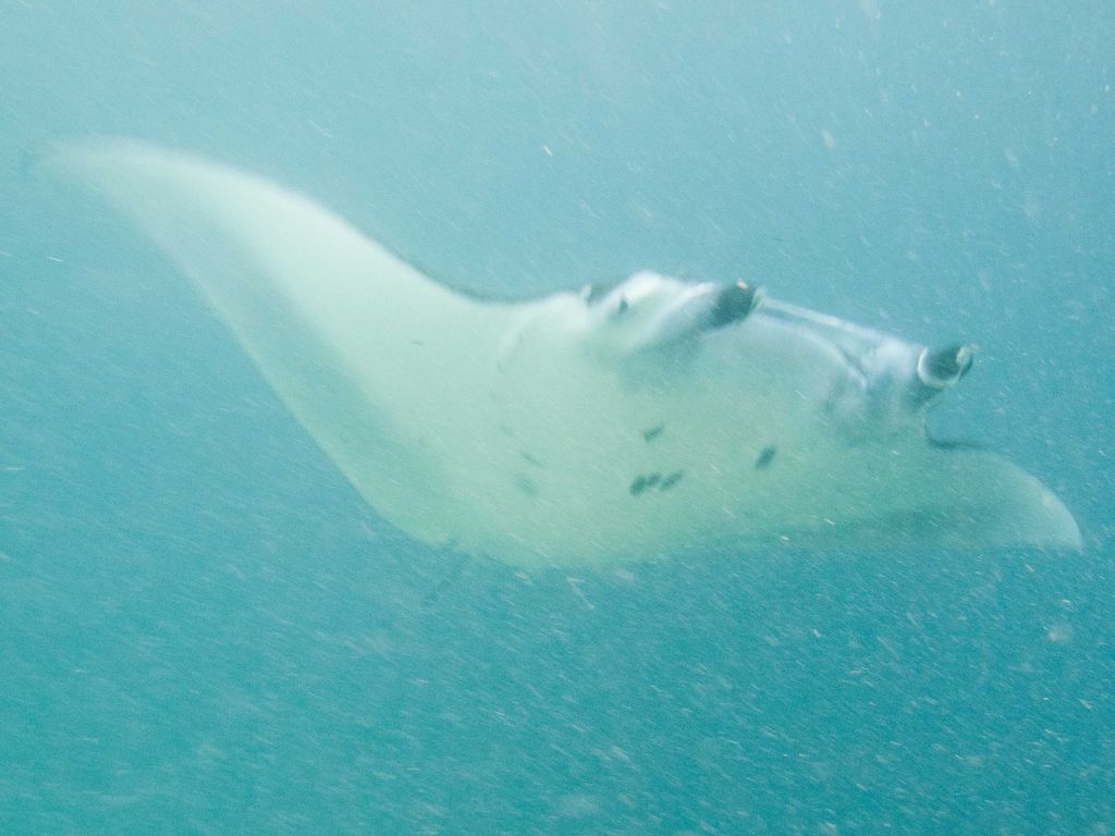 b42a6bb2-486c-442c-98be-010f5362b772