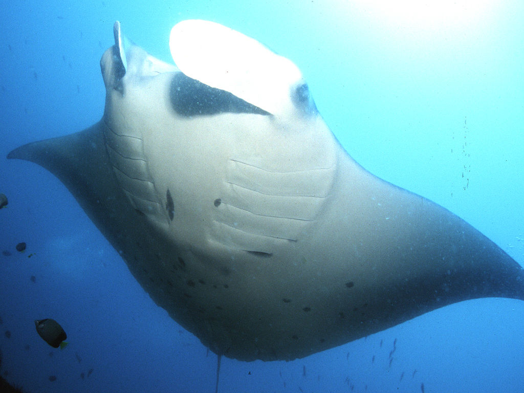 e3cfc5a7-fd7b-4143-8e82-dd12eebc2827