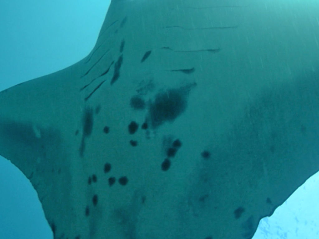 b1ea8aa9-47d9-4072-b08e-5dea007f4c82