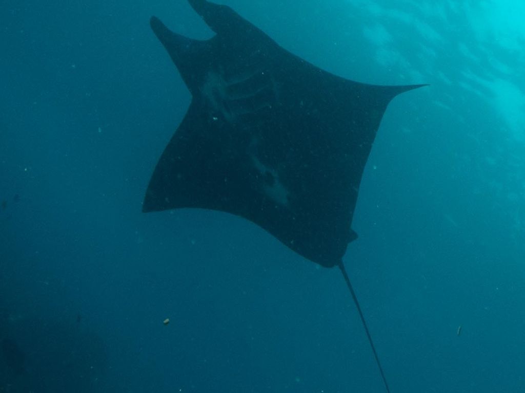 c6c475fd-4a3c-4963-b143-4791fe1be909