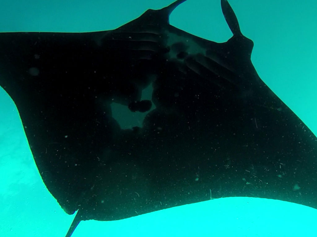 c6c475fd-4a3c-4963-b143-4791fe1be909