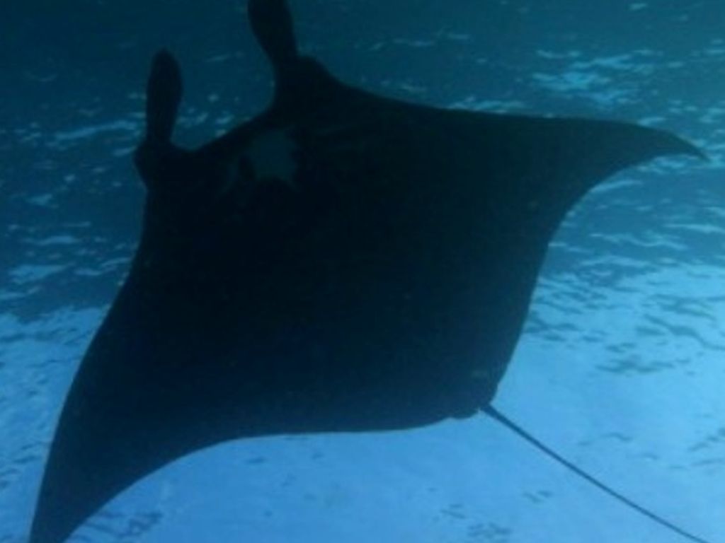 da6092d6-4d9e-4e24-843e-be12788f43c4