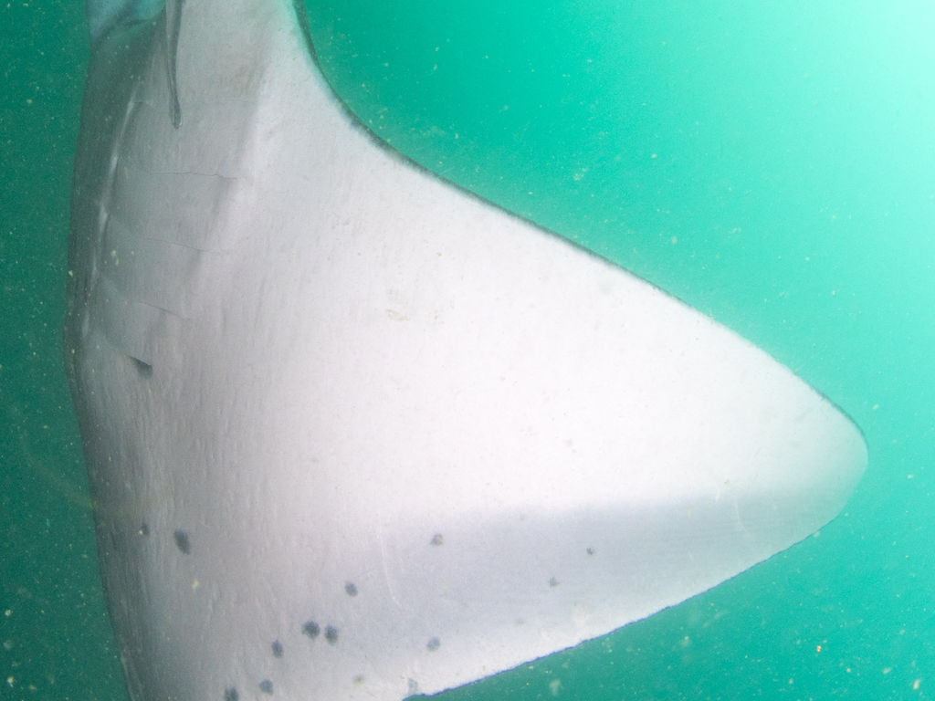 6970d68f-1dc4-4d24-b642-c77c51b7f0c8