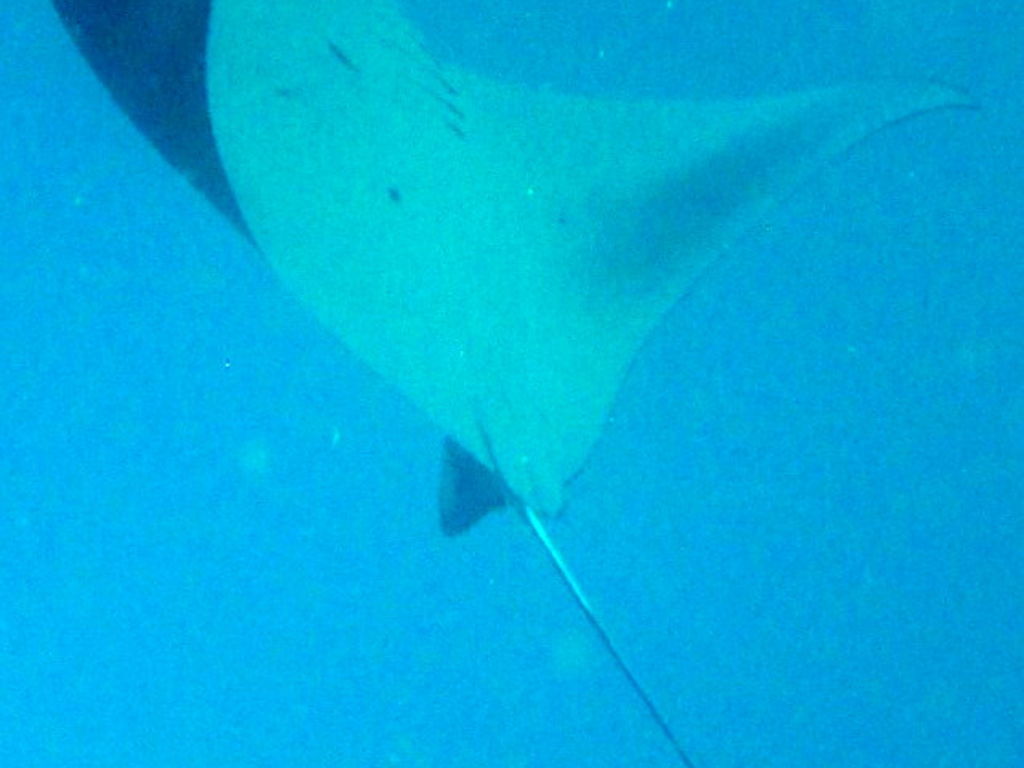 5b1bad23-b49f-4206-830a-91e454de461e