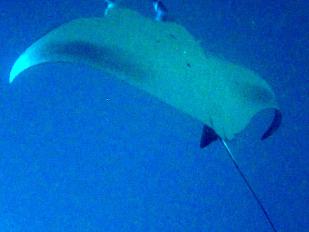 5b1bad23-b49f-4206-830a-91e454de461e