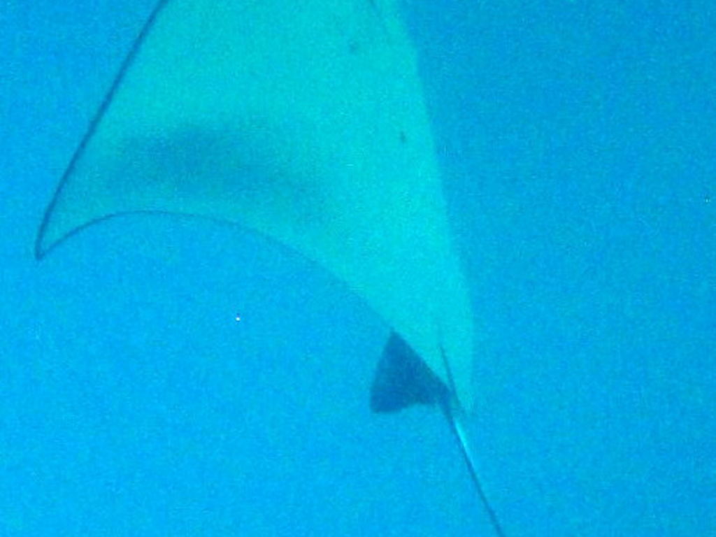 5b1bad23-b49f-4206-830a-91e454de461e