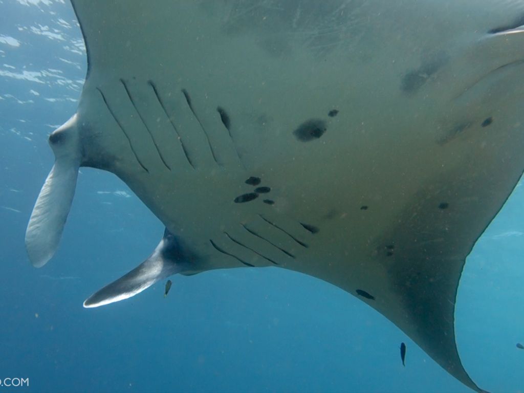 f3e37616-c110-4a1a-97ea-8260f471d38c