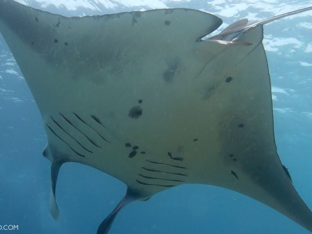 f3e37616-c110-4a1a-97ea-8260f471d38c