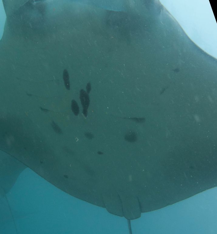 0418bd01-0170-4fe8-b60d-8073acfcde89