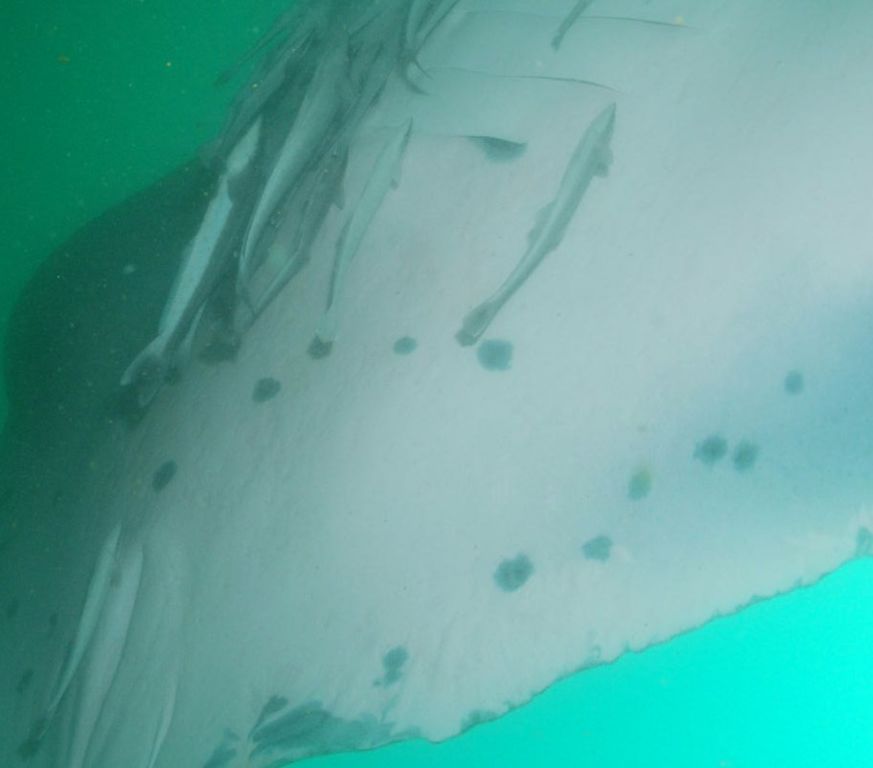 6970d68f-1dc4-4d24-b642-c77c51b7f0c8