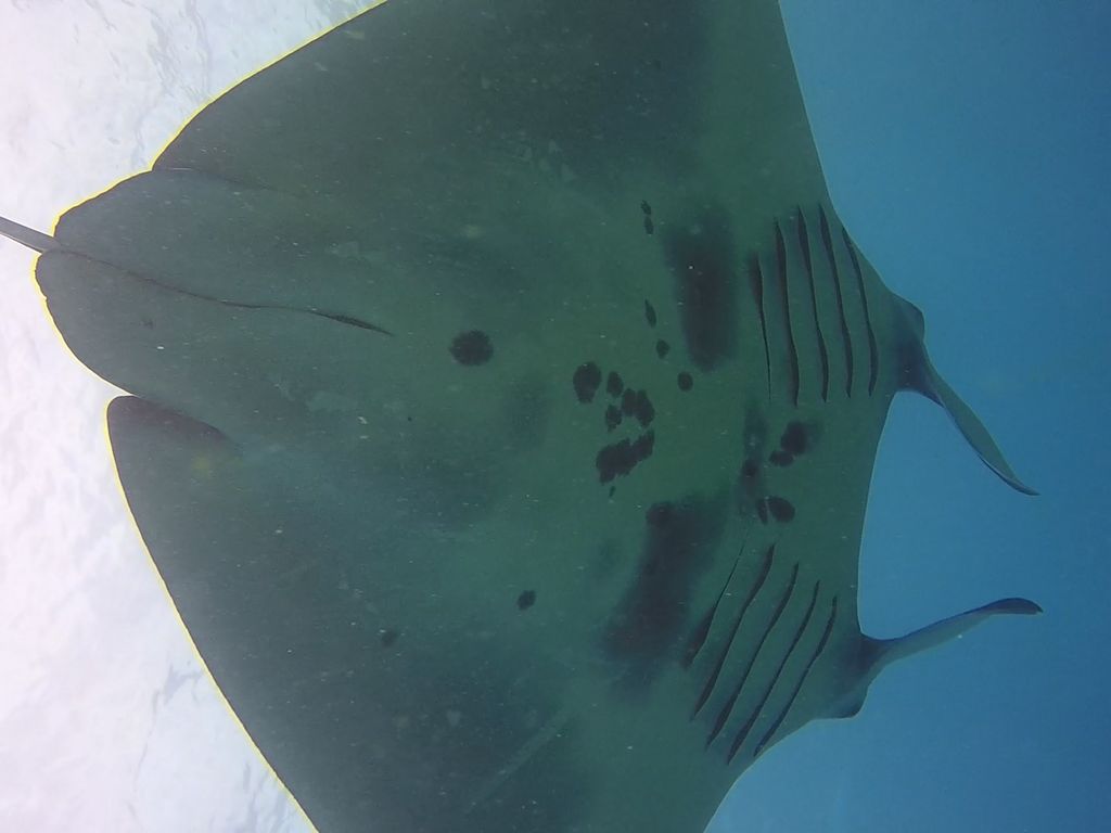 0afa99bc-1420-49dd-aa2e-4cc0417251db