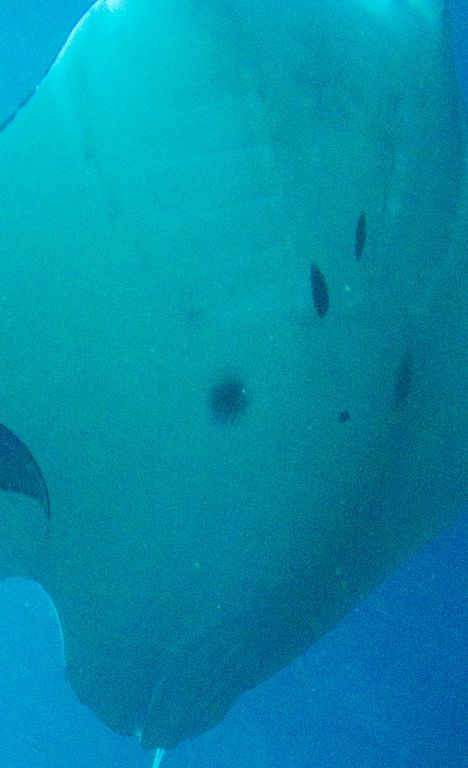 544bb27e-70d7-4ecc-8245-26eb0249eef7