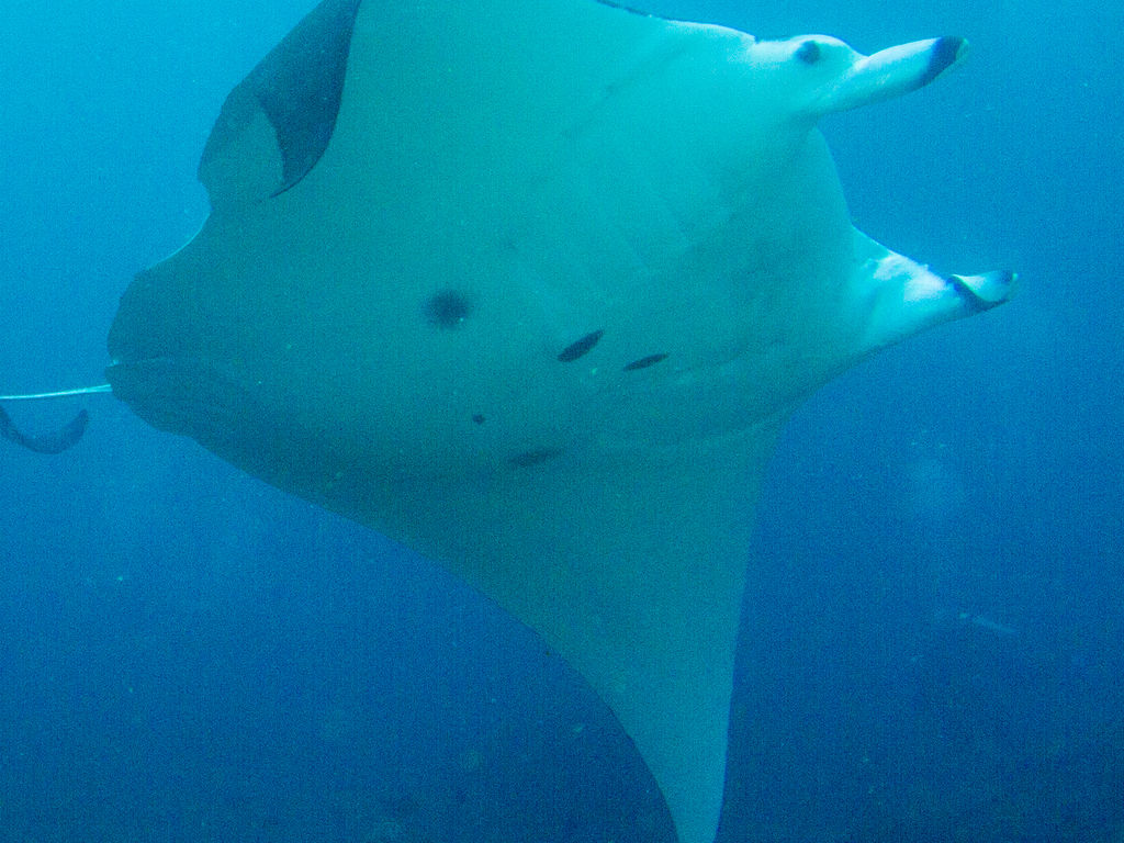 544bb27e-70d7-4ecc-8245-26eb0249eef7