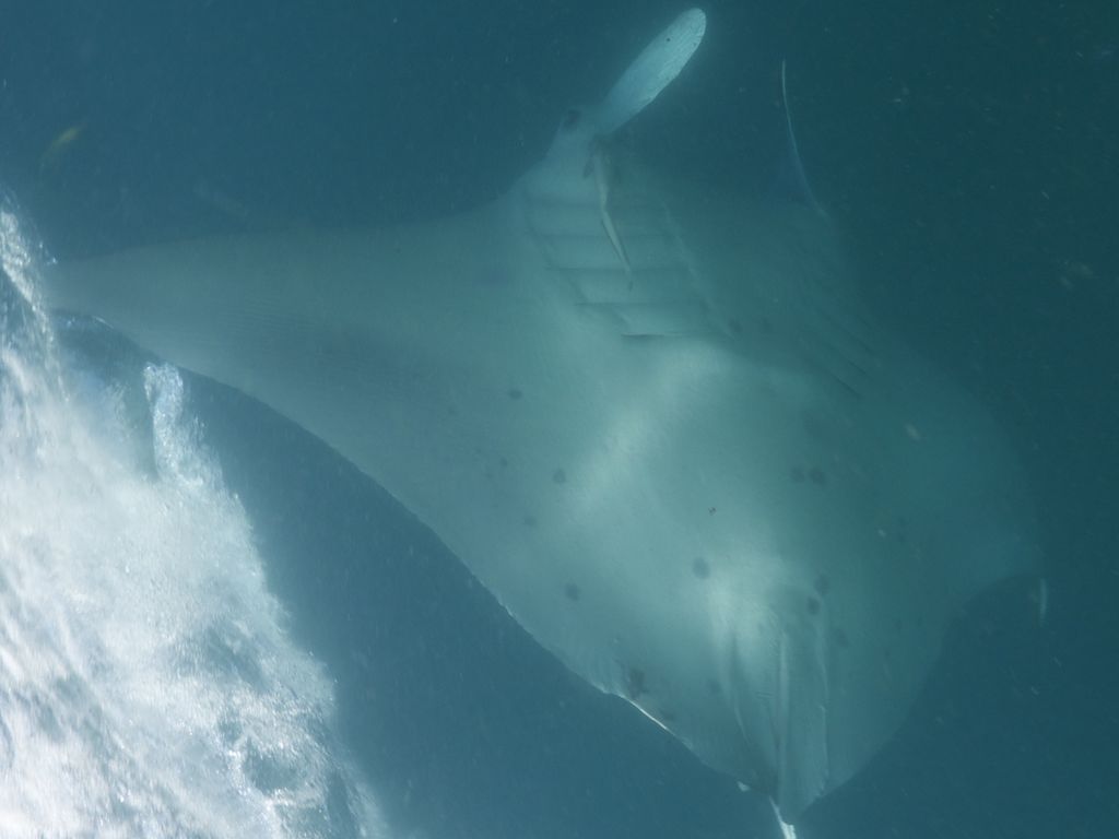 c9c24277-2f06-42b6-b5d3-f76c097c7df8