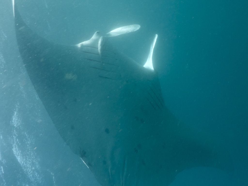 c9c24277-2f06-42b6-b5d3-f76c097c7df8