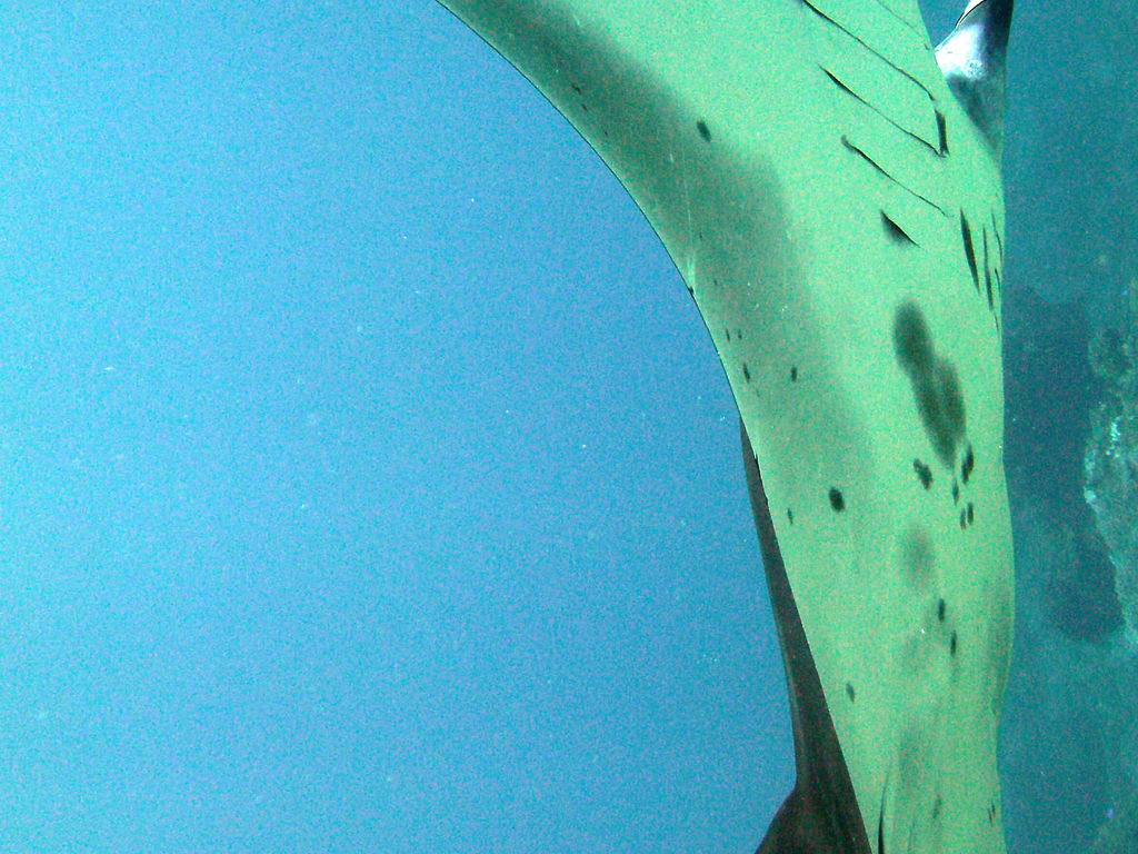 40f8c40d-c500-475d-b070-53b08654fe51