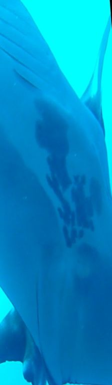 34e277c9-748f-4a12-a896-fb8f6900359e